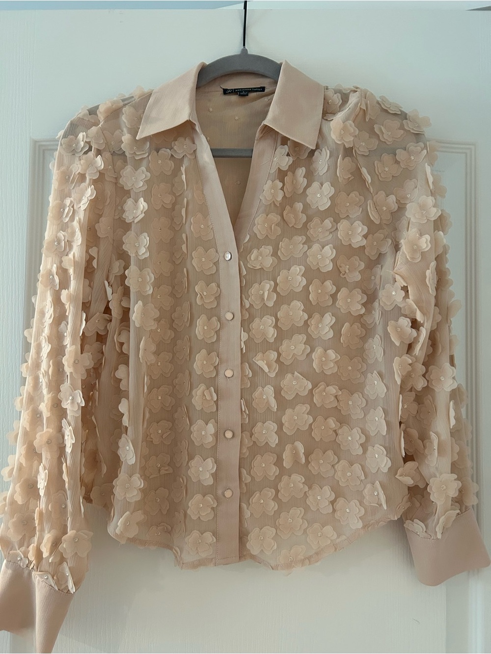 Adrianna Papell Sheer 3D Floral Appliqué Blouse - Beige